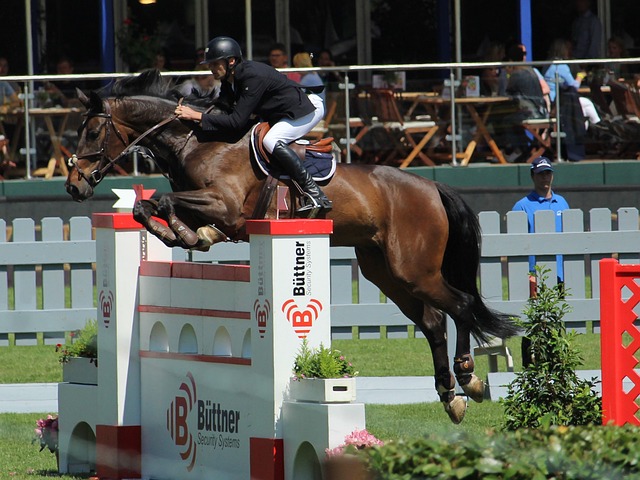 广东宏远邀请特殊儿童现场观赛.